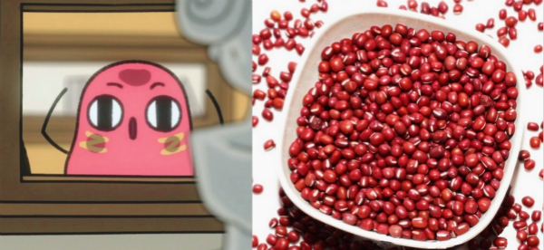 Start of Autumn-9.jpeg