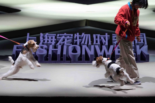 2024 Pet Fashion Week kicks off in Shanghai3.jpeg