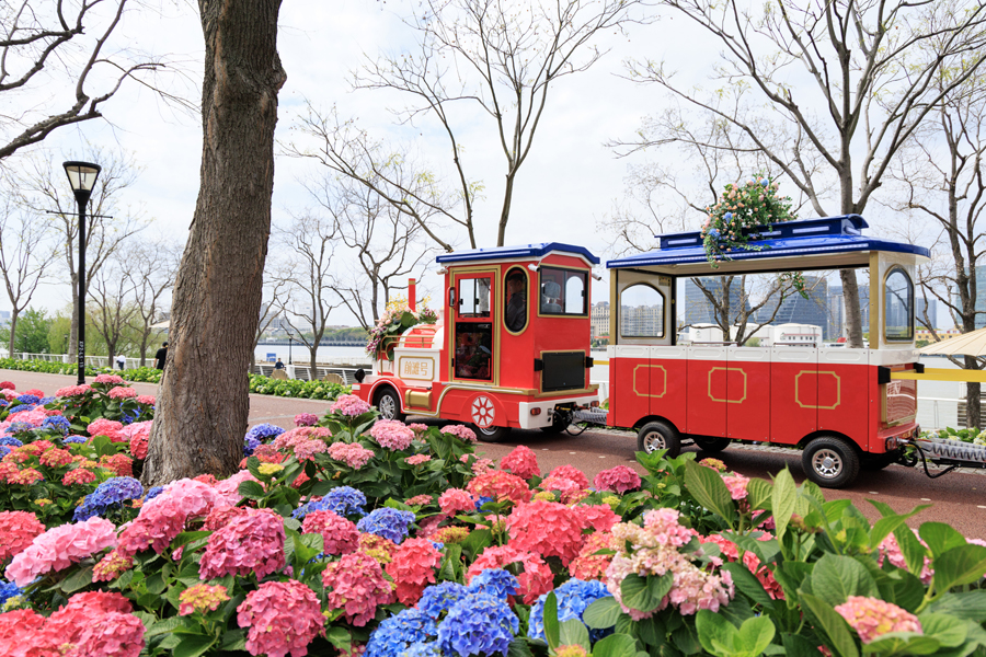 Shanghai to transform into a city of flowers