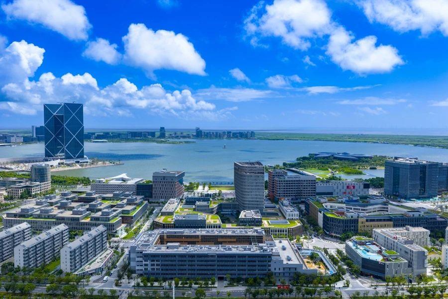 Lin-gang Special Area pioneers reform, openness through institutional innovation