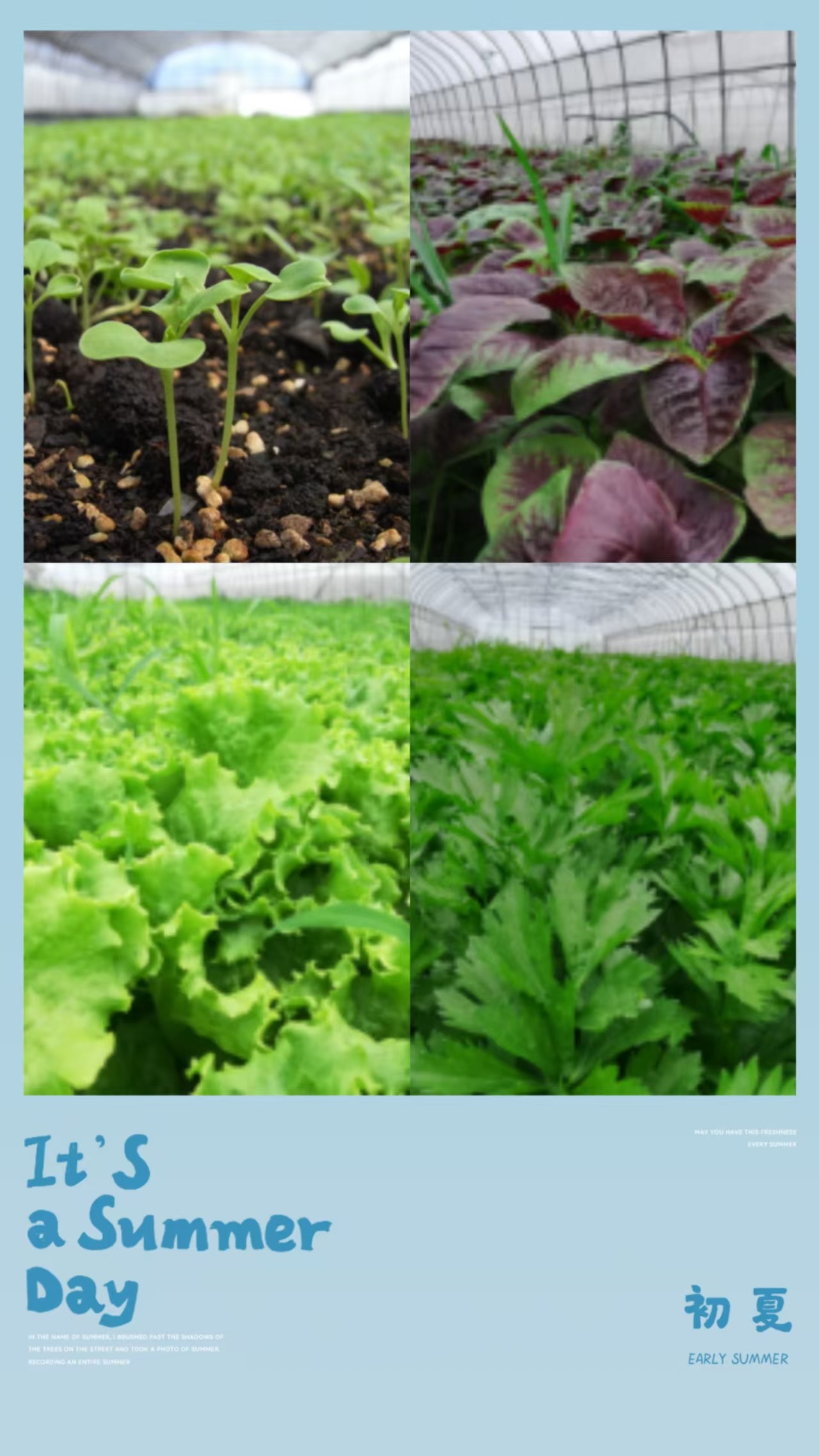 Ainiwei Agricultural Products.jpg