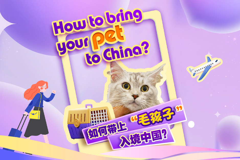How to bring your pet to China?