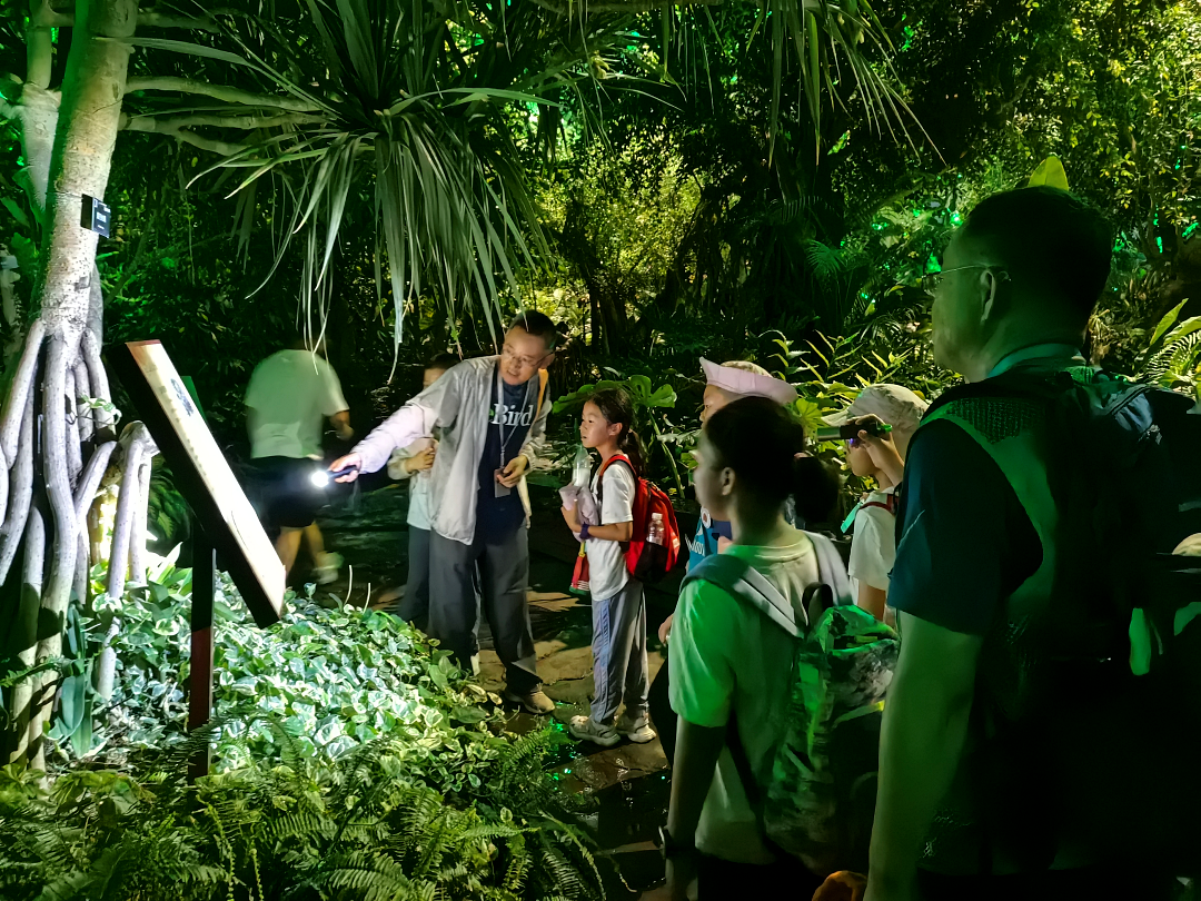 Children follow a guide to spot nocturnal creatures at Chenshan Botanical Garden..png