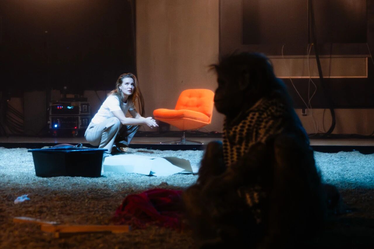 Polish experimental theater production comes to Shanghai in November