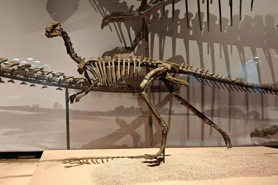 Museums extend hours for Golden Week with special events