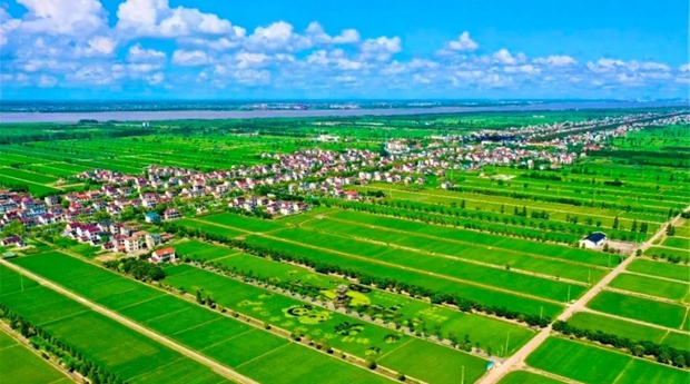 chongming.jpeg chongming.jpeg