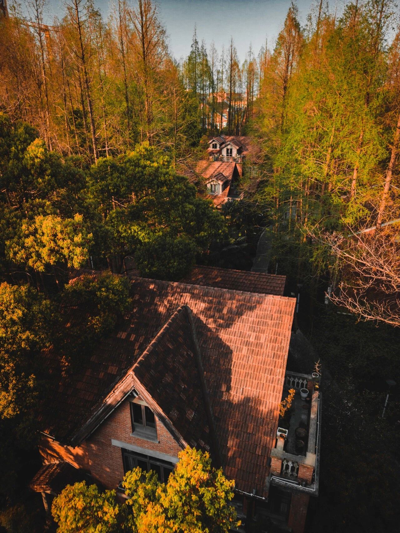 University of Shanghai for Science and Technology 1.jpg