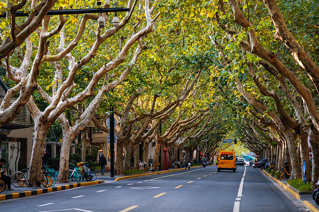 Explore Shanghai's rural getaway routes this autumn