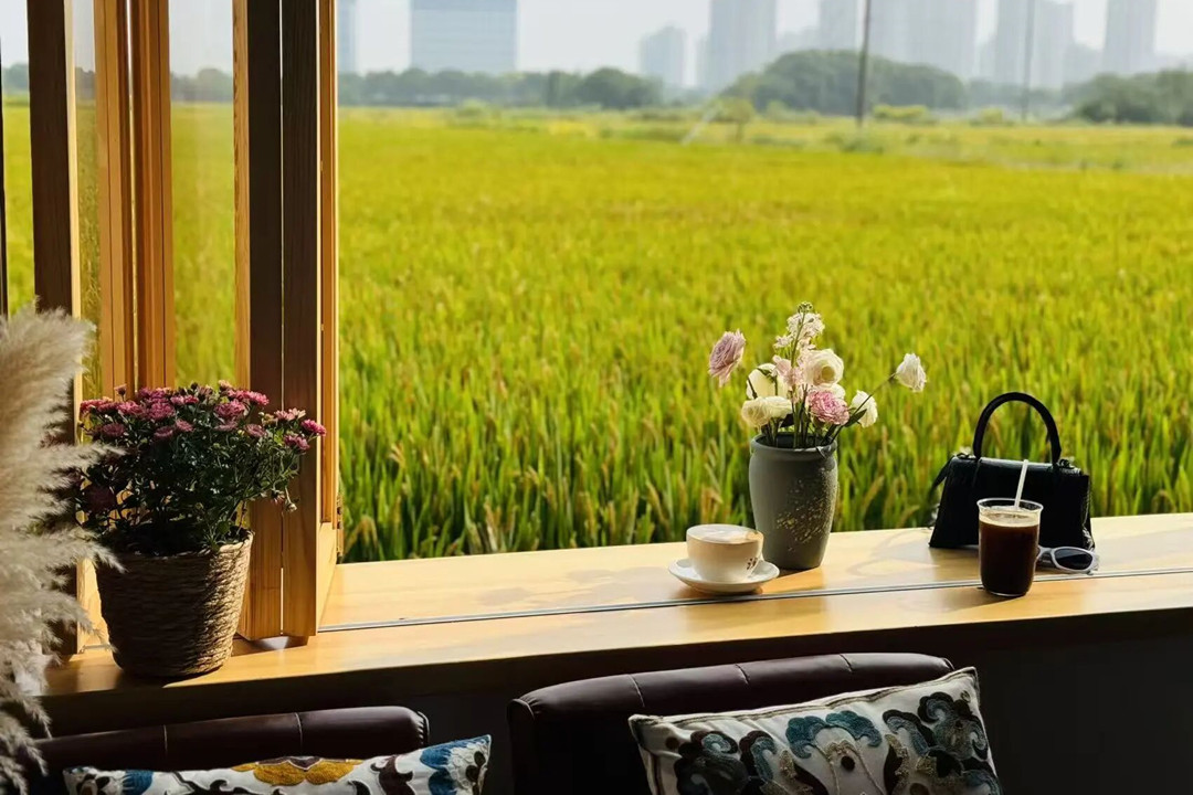 Spring coffee tour: Sip your way through Shanghai's countryside