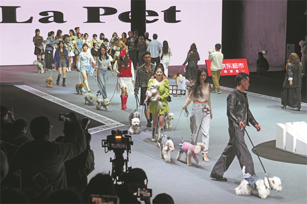 4th Petjoy Fashion Week.jpeg