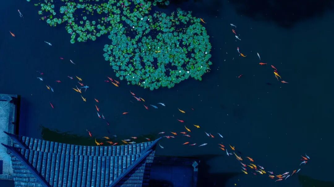 Shanghai Grand View Garden.jpg