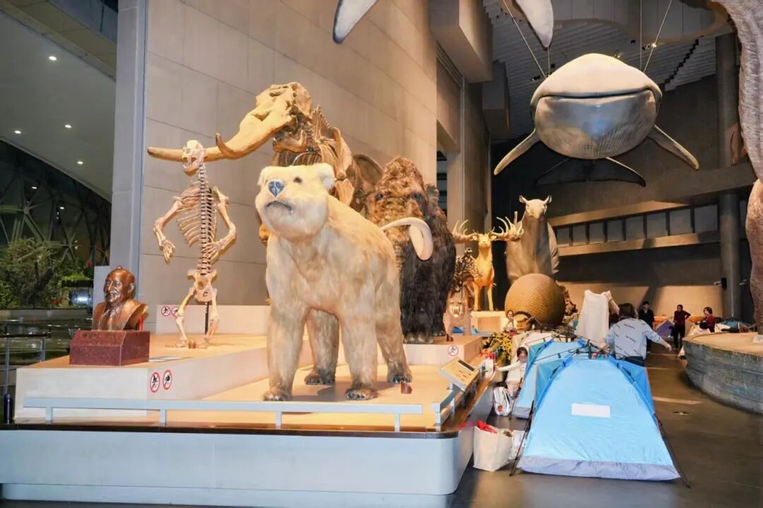 Discover museums that make learning effortless