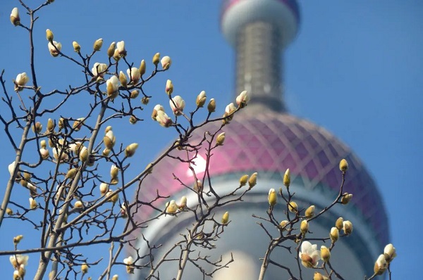 640 (2).jpg 640 (2).jpg