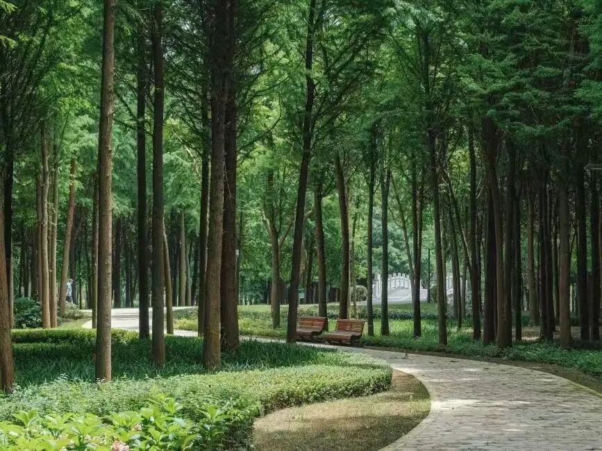 Hengmian Park.jpg