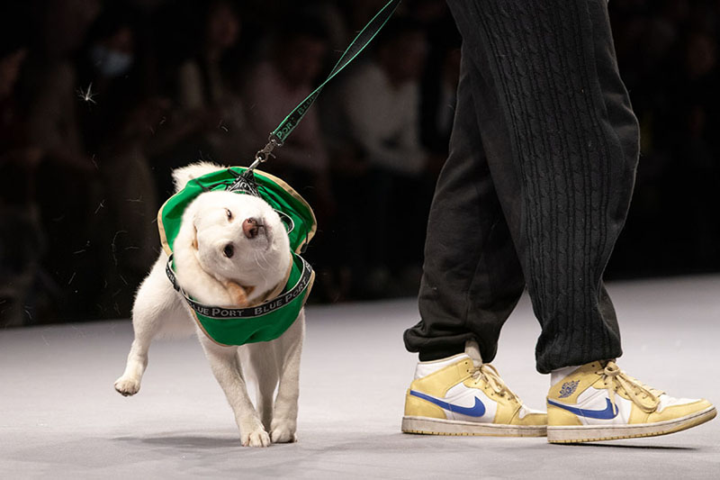 660126a4a31082fc2b6b1493.jpeg 660126a4a31082fc2b6b1493.jpeg