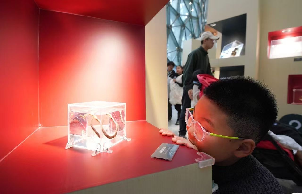 Shanghai Natural History Museum holds special Year of the Snake exhibition