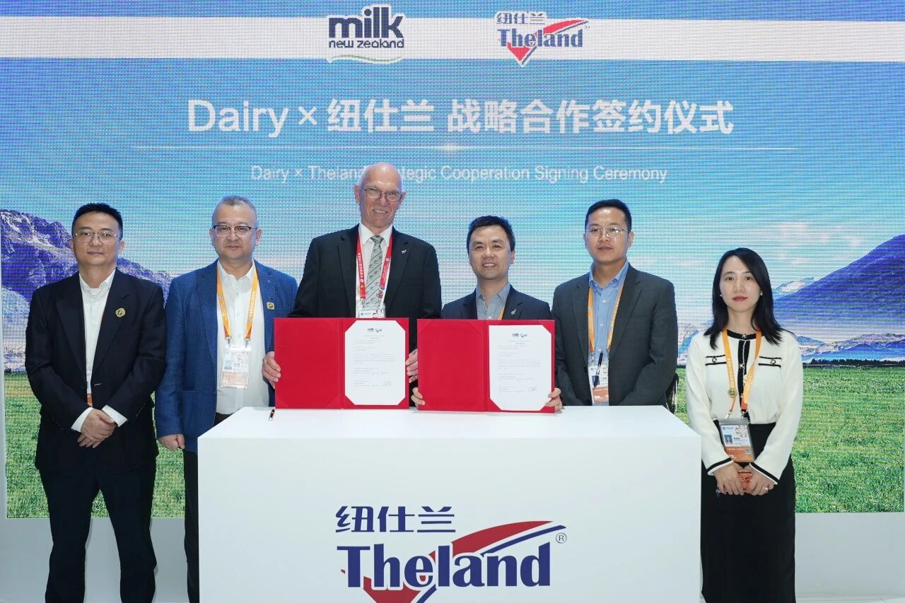 Changning shines at 8th China International Import Expo