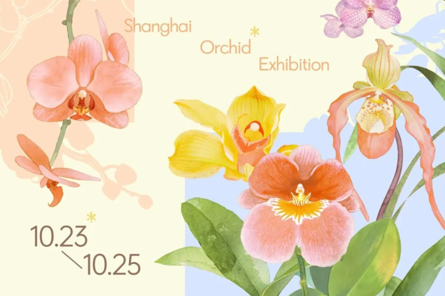 Dazzling 2026 orchid show opens in Hongkou district