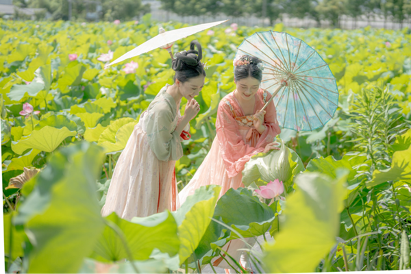 Discover Shanghai's hidden lotus oases