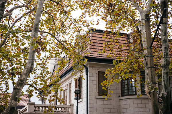 64408edfa310b60580cb8151.jpeg 64408edfa310b60580cb8151.jpeg