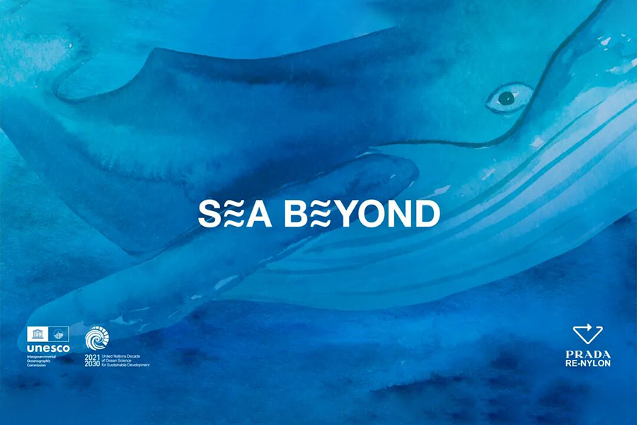 Historic mansion reopens with ocean-themed exhibition