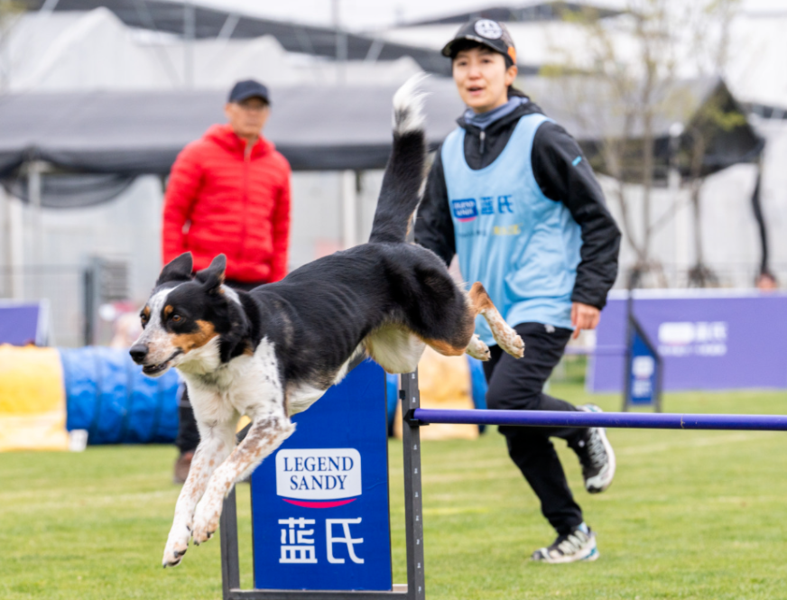 Competition binds dogs and handlers 