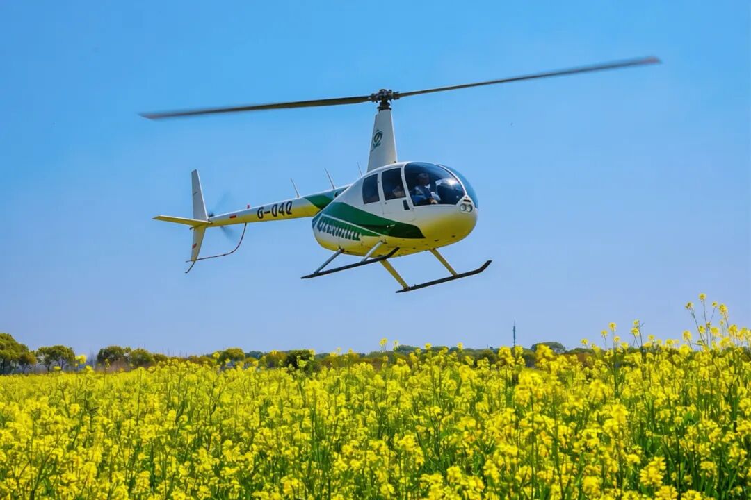 Shanghai's top attractions roll out seasonal experiences