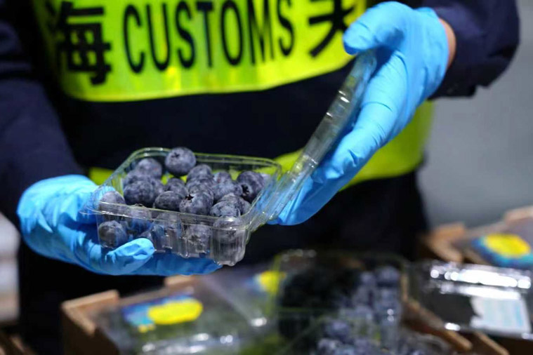 Chancay-Shanghai shipping route boosts bilateral trade