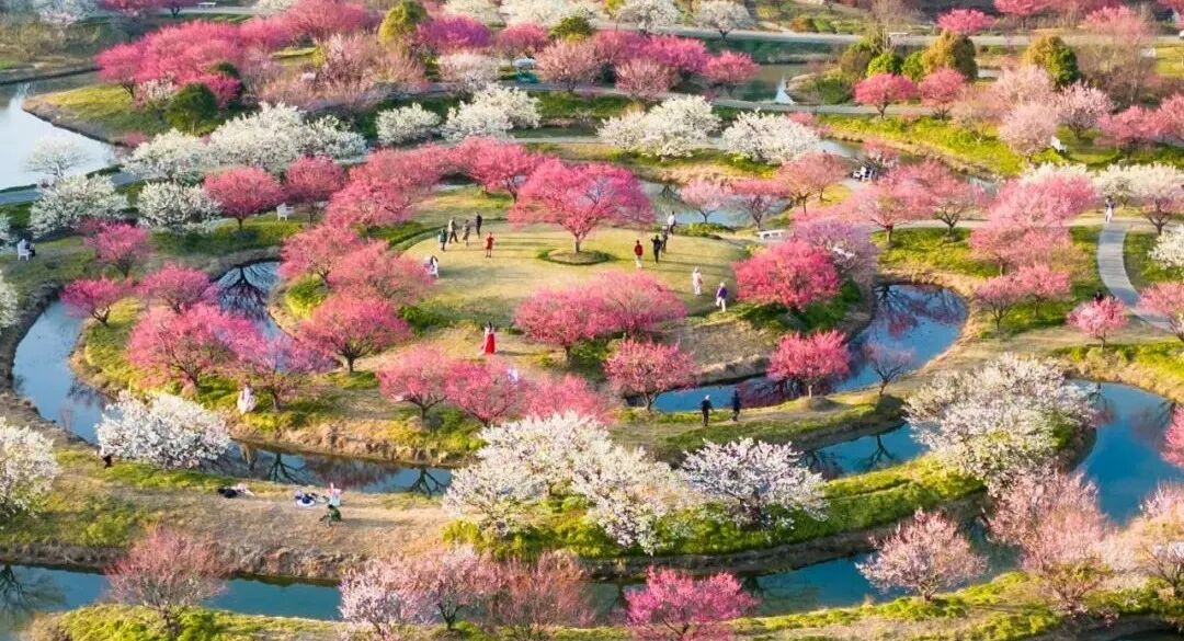 Shanghai Blooming Garden.jpg