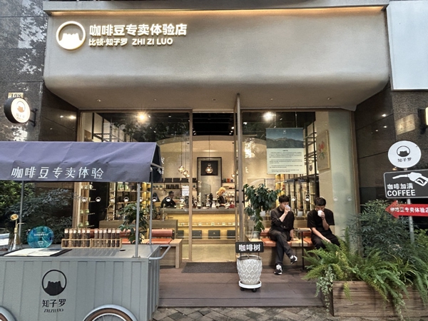 Aroma of Yunnan beans attracts coffee lovers in metropolis2.jpg