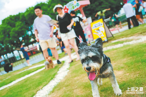 Summer season set to really heat up3.jpeg Summer season set to really heat up3.jpeg