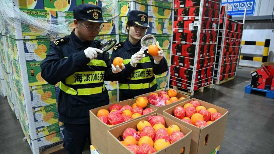 New Zero-tariff Policy Brings Fresh African Fruits to Shanghai