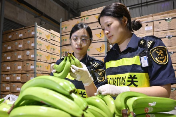 Shanghai advances digital transformation in shipping and trade