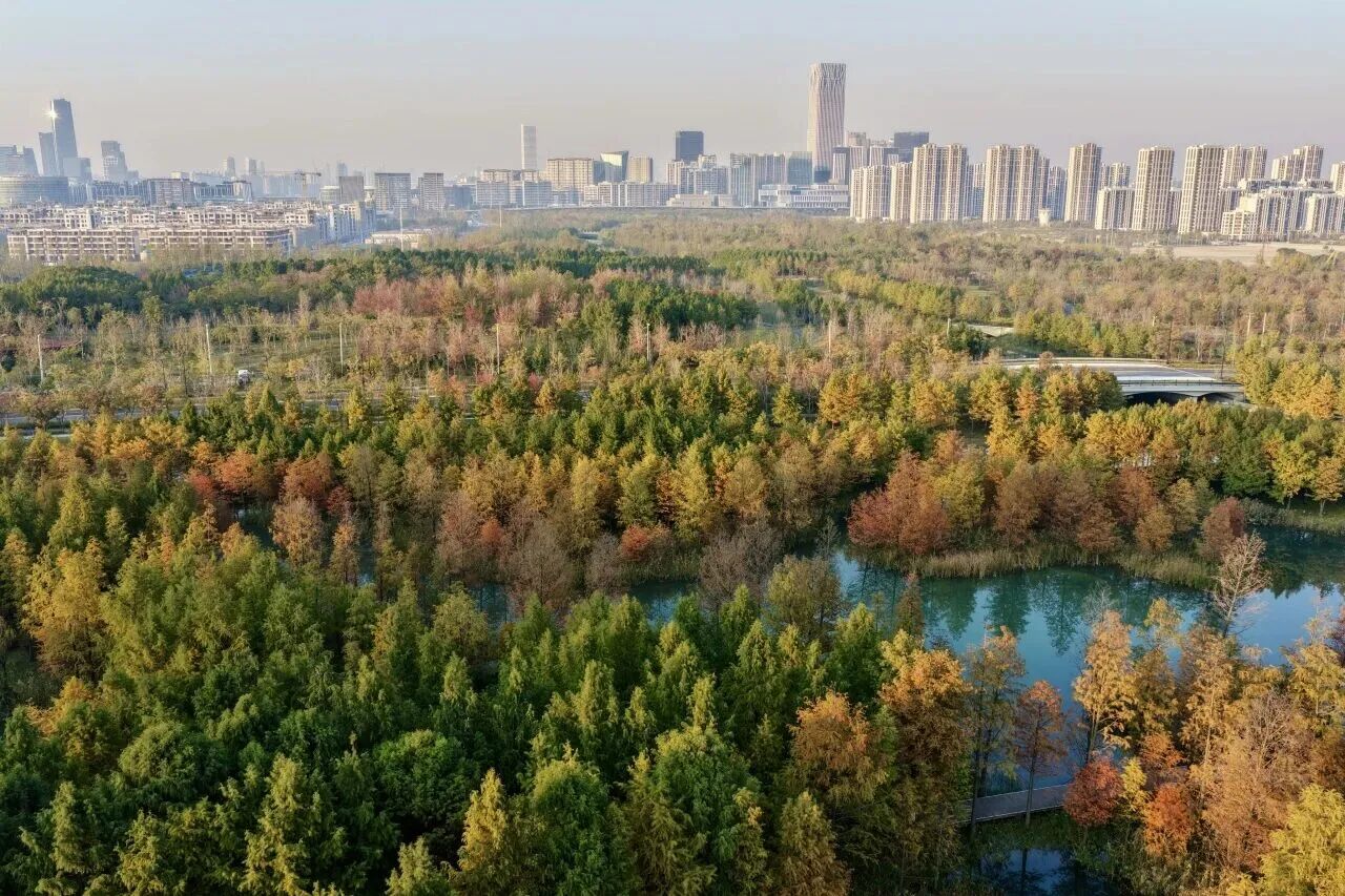 微信图片_2026-10-27_181152_904.jpg