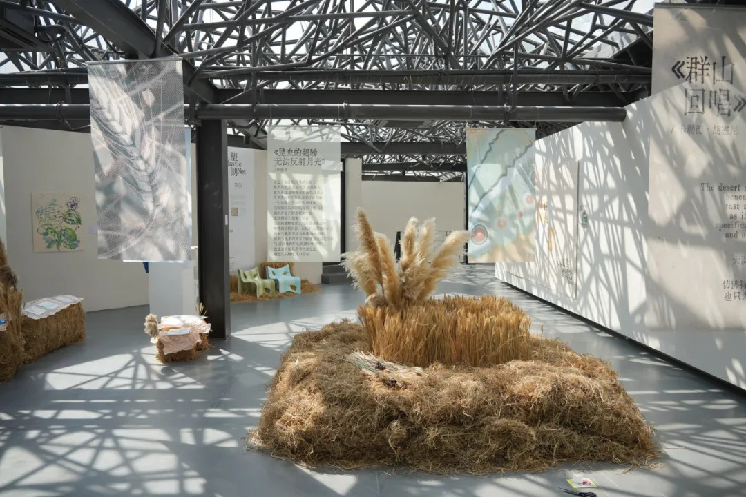 The field inquiry section.jpg