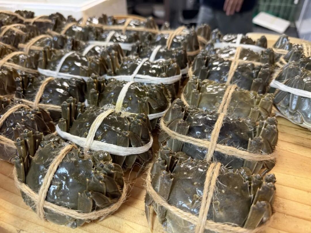 CRABS.jpg