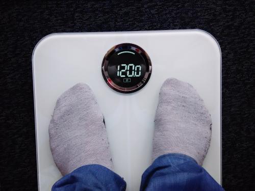 Start of Autumn-7.jpeg