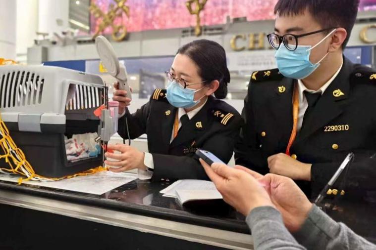 Shanghai welcomes more pets as intl travel increases