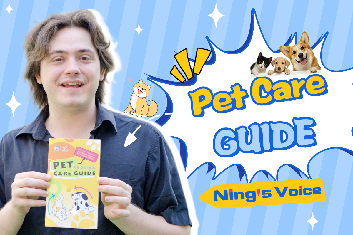 Ning's Voice | Pet Care Guide