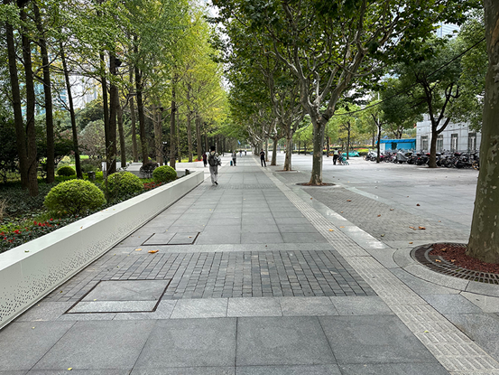 All parks in Pudong to open 24.png