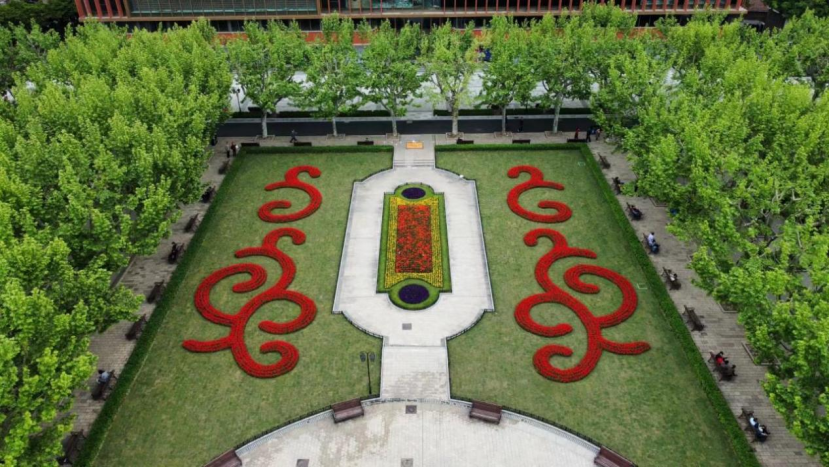 An aerial view of the floral displays on the lawn of Fuxing Park..png