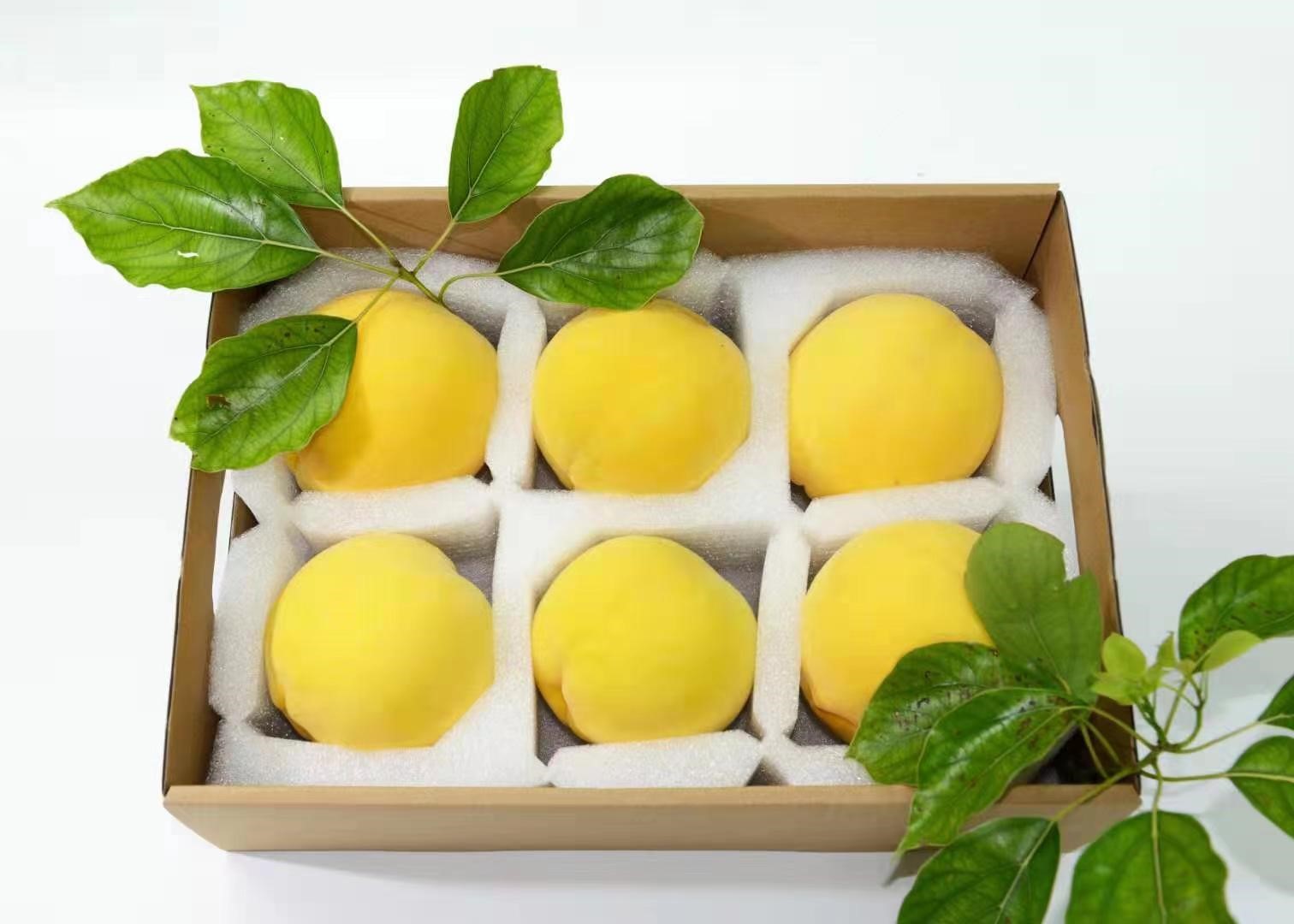 Daibai Agriculture.jpg