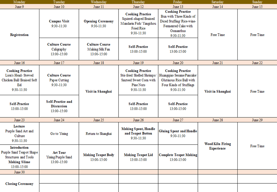 Shanghai Summer School program at Shanghai Polytechnic University1.png