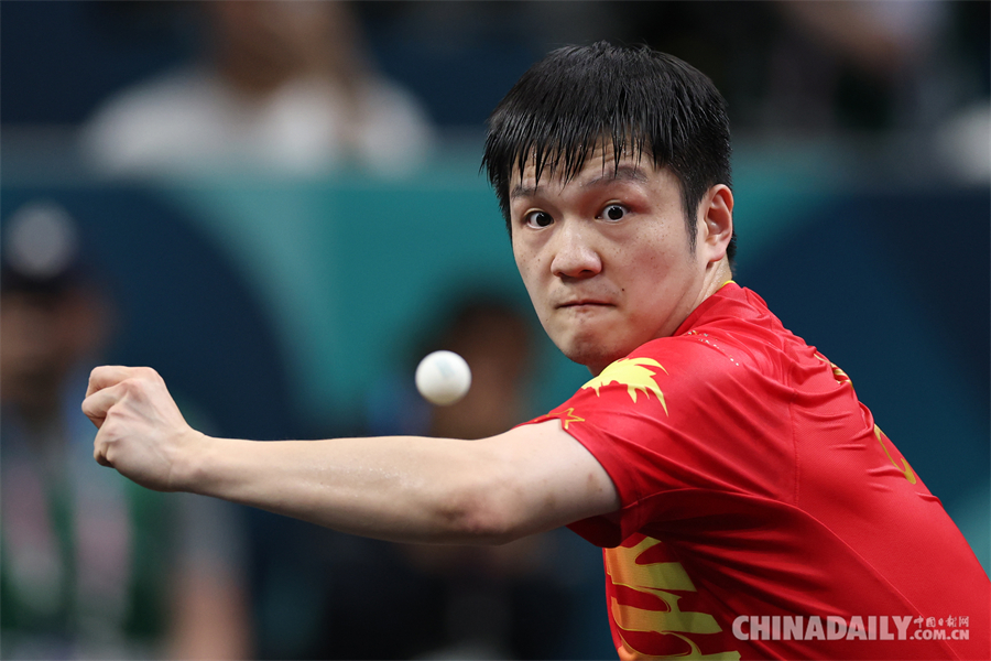 Fan Zhendong paddles his way to golden glory2.jpeg