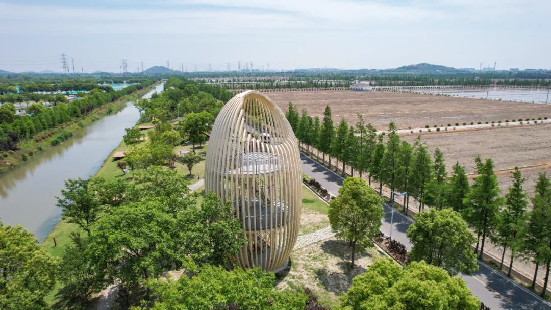 A view of the Jiangnan Rice Art Sightseeing Park.jpg