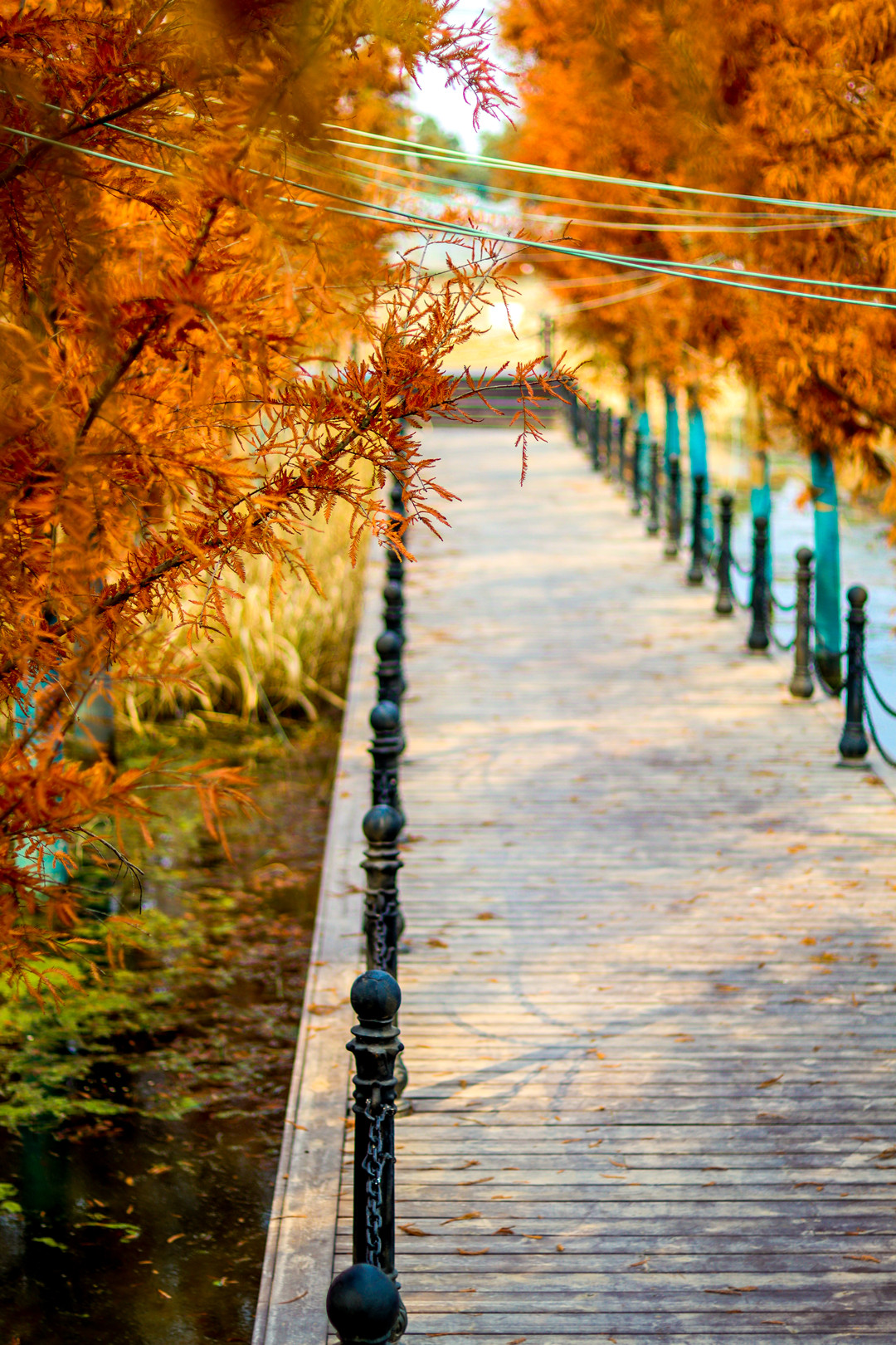 Haishen Village Scenic Area2.jpg