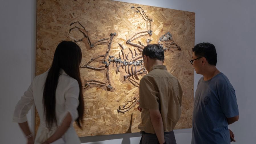 Exhibition showcases fusion of art, science, history.jpg