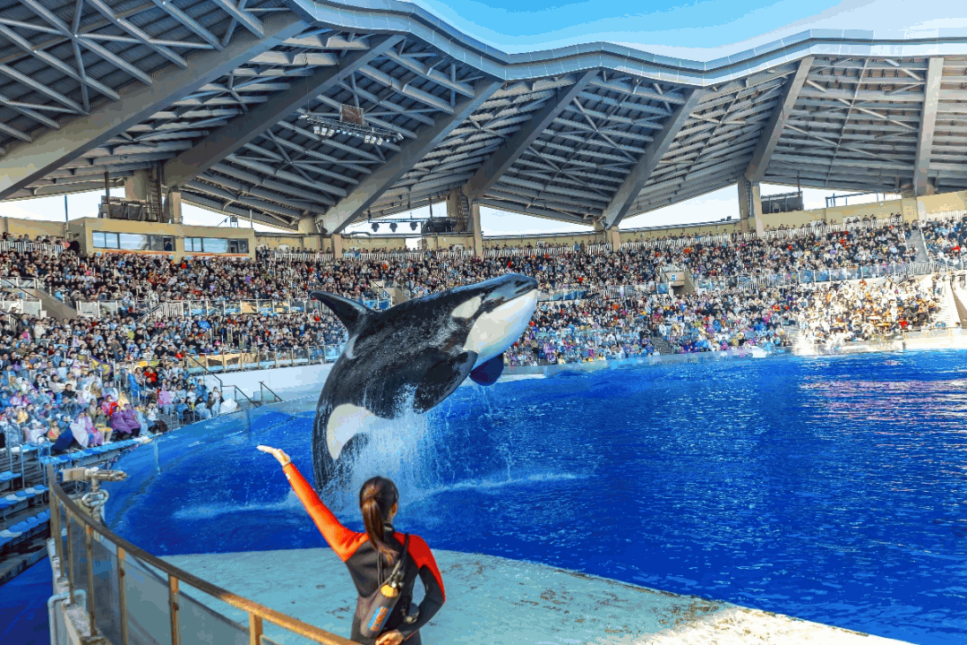 Chinese New Year in Shanghai: A practical guide to events and attractions (part one)