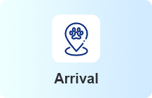 宠1.png