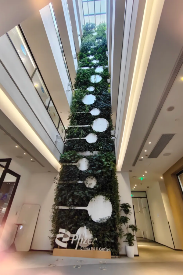 Pfizer launches Open Innovation R&D Center 1.png